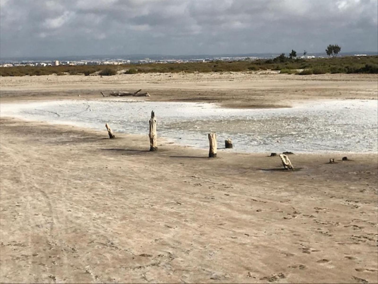 טורבייחה Punta Prima Oasis Beach Fase 9 מראה חיצוני תמונה